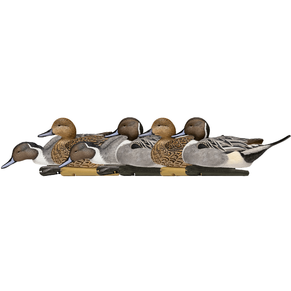 Avian-X Topflight Fusion Duck Decoys - 6 Pack