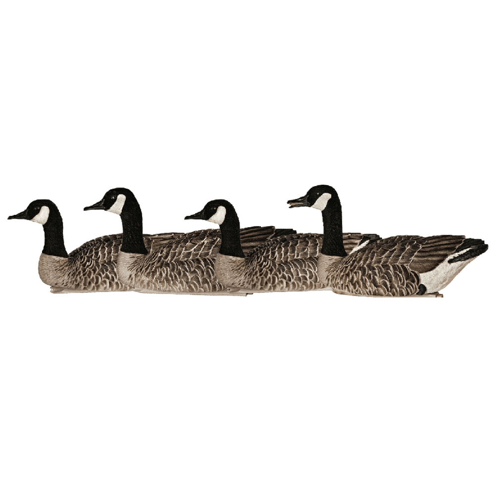 Avian-X Topflight Honkers Decoys - 4 pack