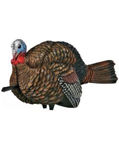 Avian-X LCD Half Strut Jake Turkey Decoy 1