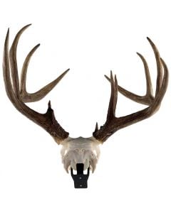 Grakksaw The Claw Deer Skull Hanger - 3 Pack