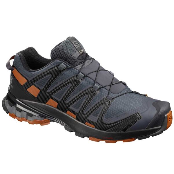 Salomon XA Pro 3D V8 GTX Hiking Shoes