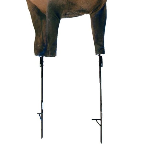 Montana Decoy Spike Elk Free Shipping