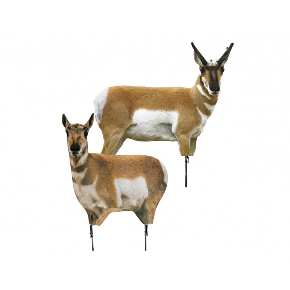 Montana Decoy Back Country Antelope Buck & Doe Combo Decoy