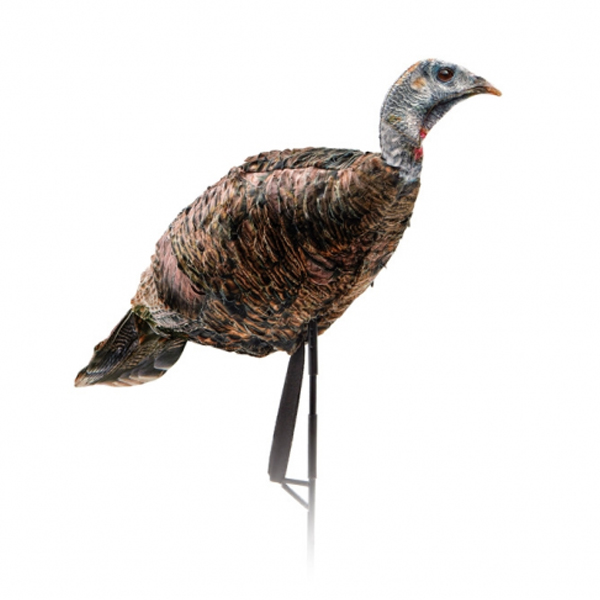 Montana Decoy Miss Purrfect XD Turkey Hen Decoy