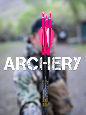 Discounted Archery gear