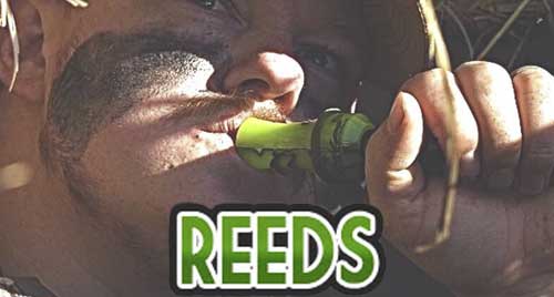 Phelps Reeds